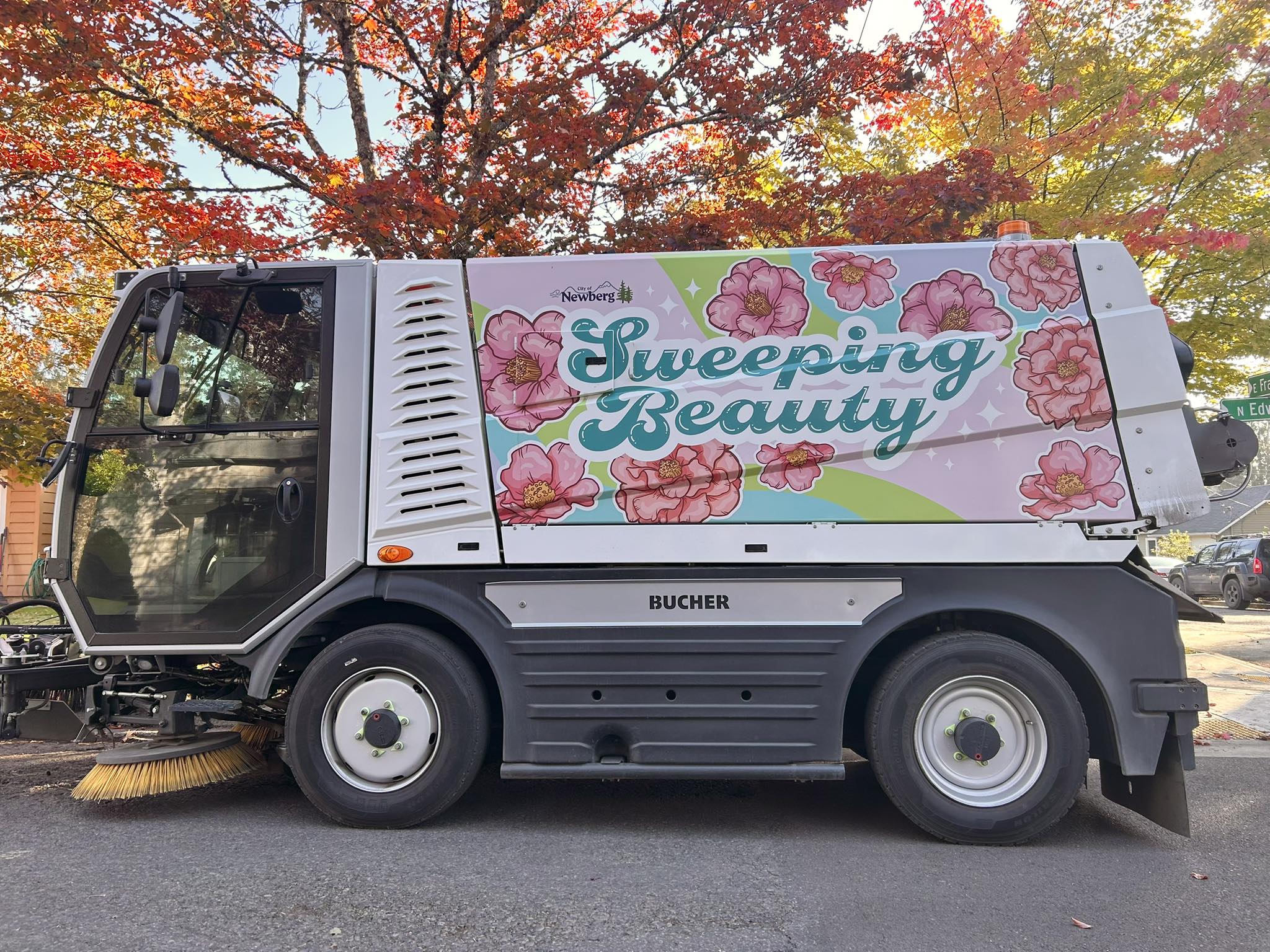 sweeping beauty photo